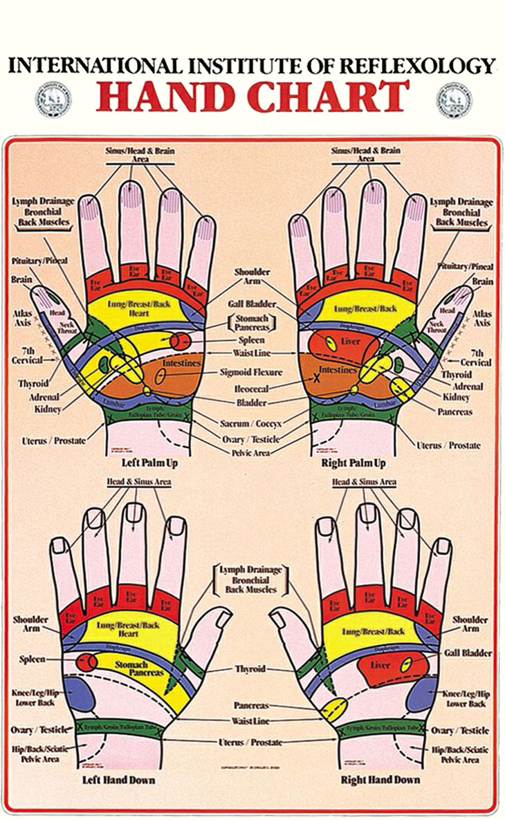 International Institute of Reflexology Hand Chart